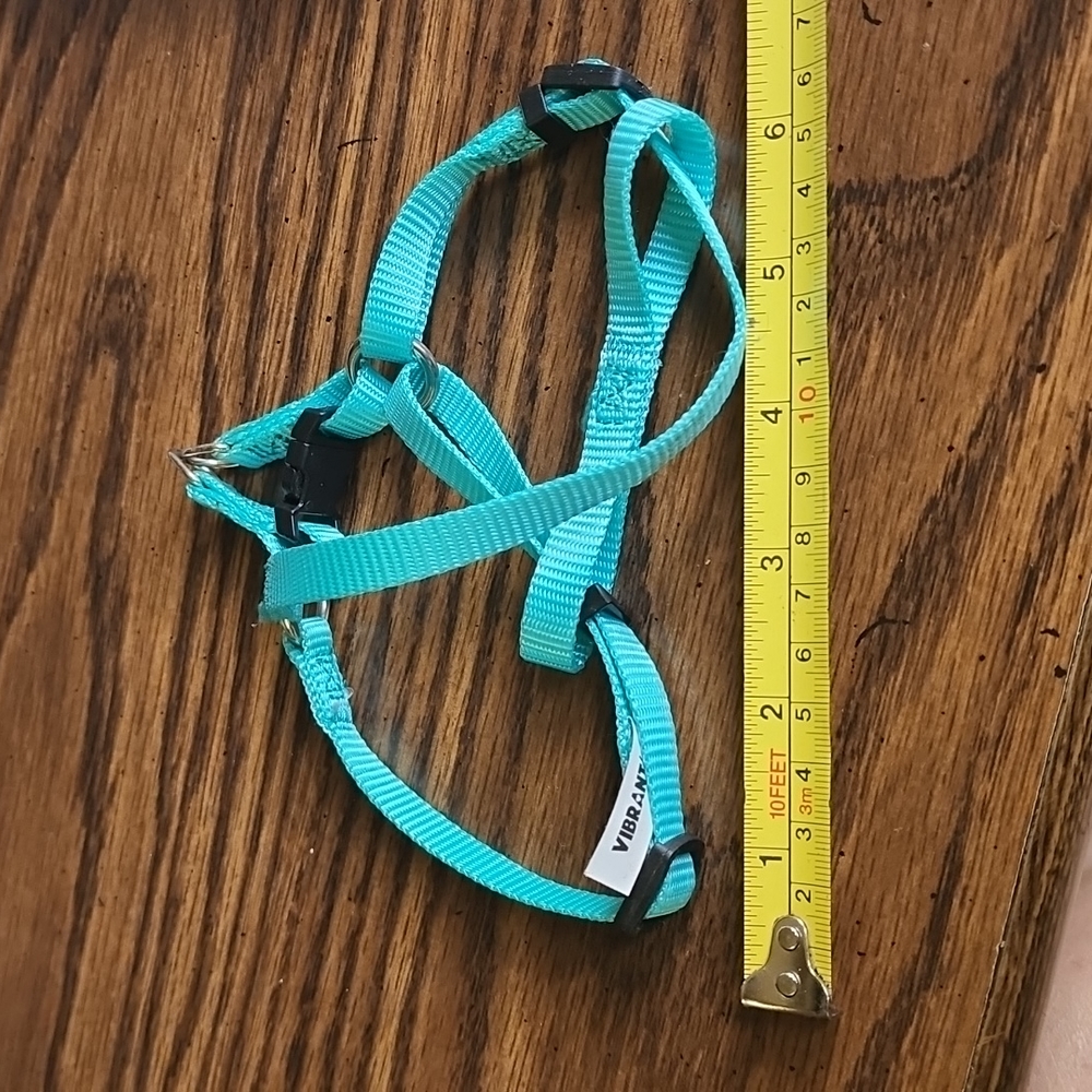 Cat Harness